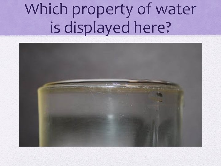 Which property of water is displayed here? 