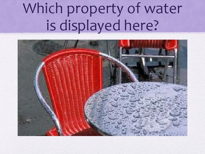 Which property of water is displayed here? 