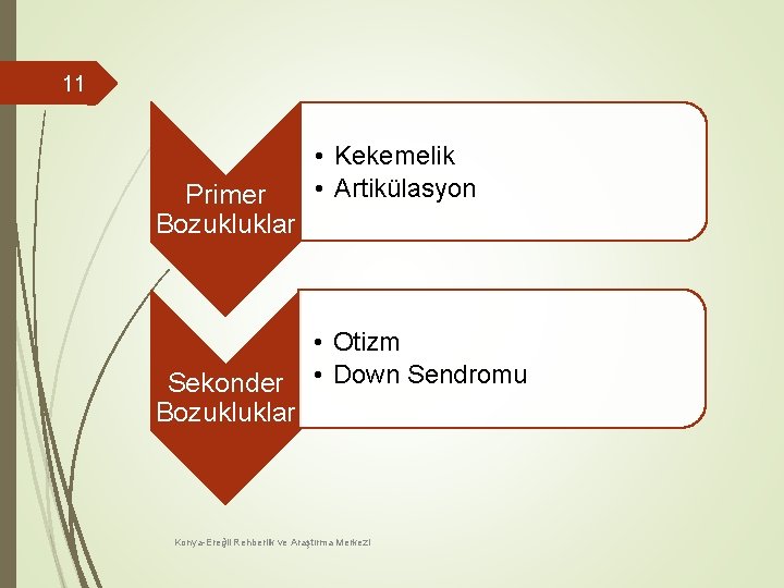 11 Primer Bozukluklar Sekonder Bozukluklar • Kekemelik • Artikülasyon • Otizm • Down Sendromu