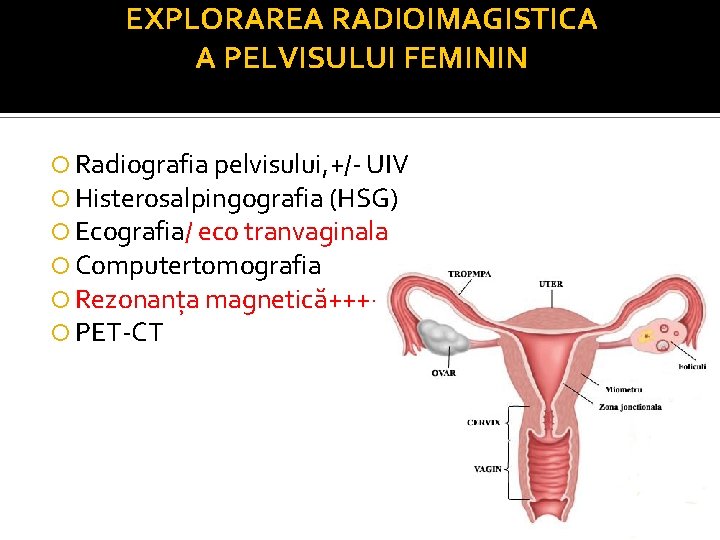 EXPLORAREA RADIOIMAGISTICA A PELVISULUI FEMININ Radiografia pelvisului, +/- UIV Histerosalpingografia (HSG) Ecografia/ eco tranvaginala EXPLORAREA RADIOIMAGISTICA A PELVISULUI FEMININ Radiografia pelvisului, +/- UIV Histerosalpingografia (HSG) Ecografia/ eco tranvaginala