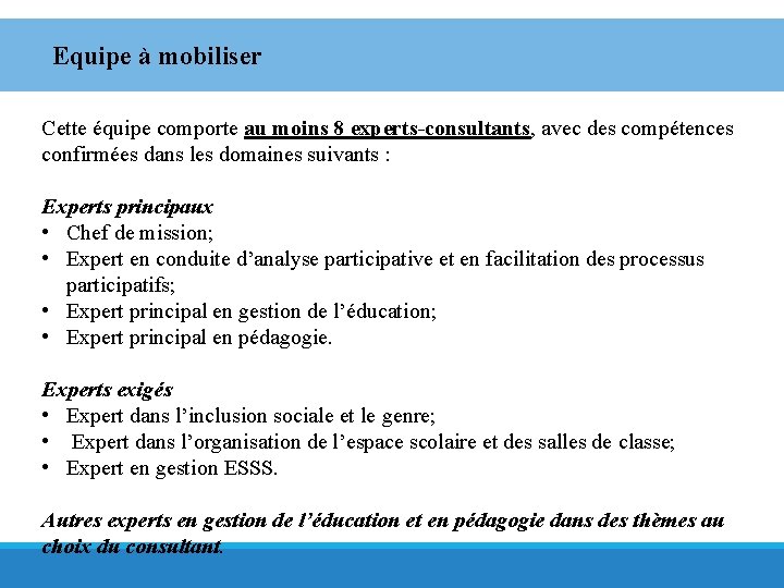 Equipe à mobiliser Cette équipe comporte au moins 8 experts-consultants, avec des compétences confirmées