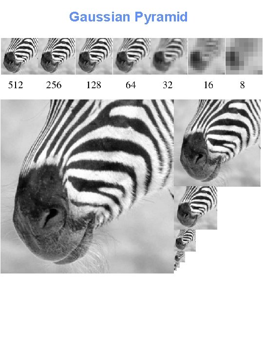 Gaussian Pyramid 