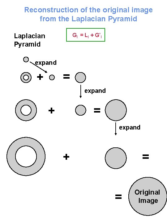 Reconstruction of the original image from the Laplacian Pyramid Gl = Ll + G’l