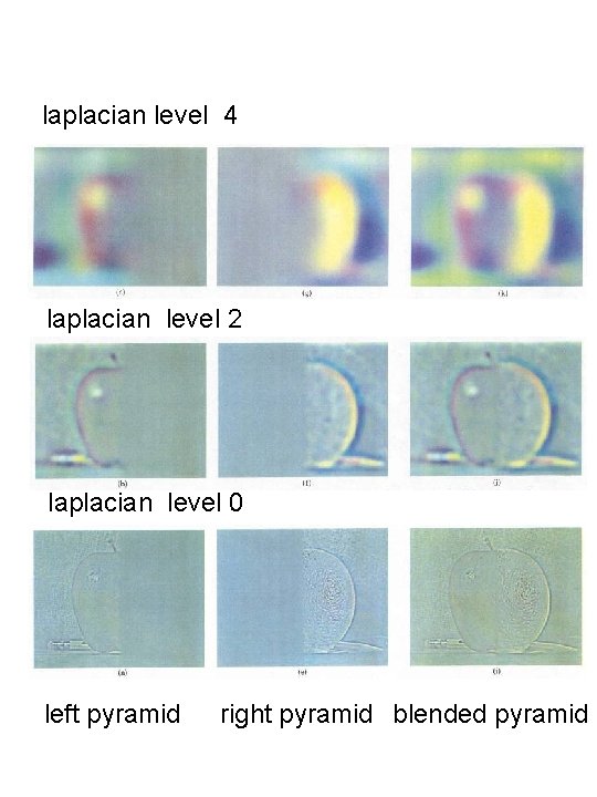 laplacian level 4 laplacian level 2 laplacian level 0 left pyramid right pyramid blended