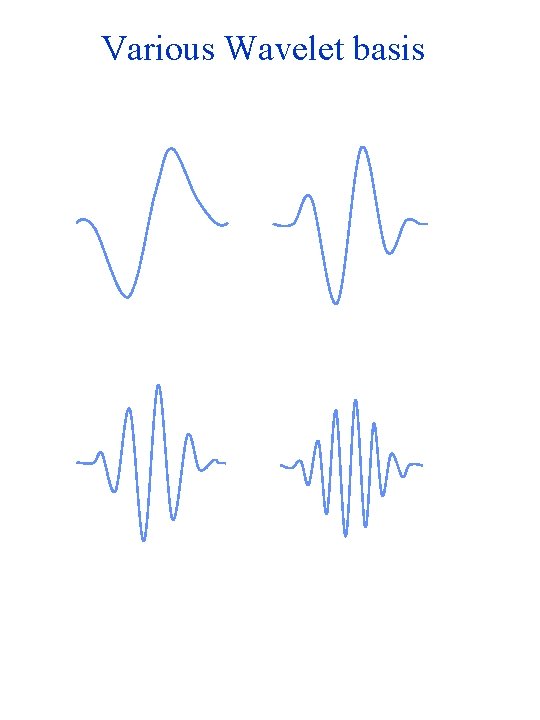 Various Wavelet basis 