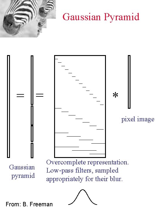 Gaussian Pyramid = = * pixel image Gaussian pyramid Overcomplete representation. Low-pass filters, sampled