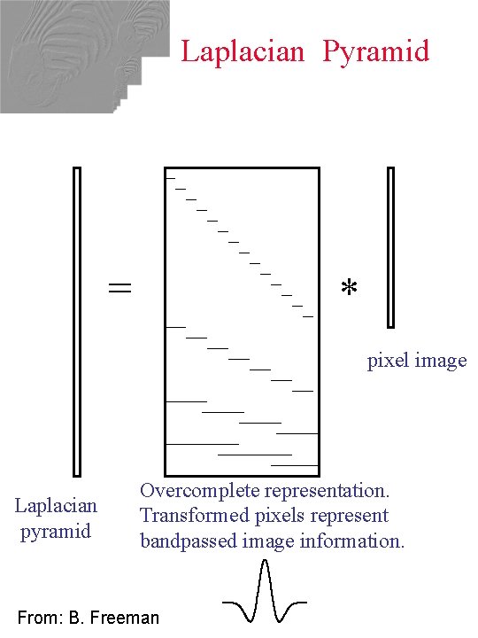 Laplacian Pyramid = * pixel image Laplacian pyramid Overcomplete representation. Transformed pixels represent bandpassed