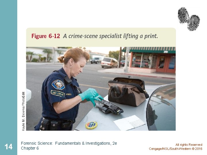 14 Forensic Science: Fundamentals & Investigations, 2 e Chapter 6 All rights Reserved Cengage/NGL/South-Western 14 Forensic Science: Fundamentals & Investigations, 2 e Chapter 6 All rights Reserved Cengage/NGL/South-Western