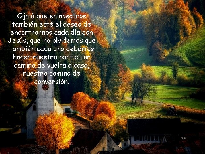 Ojalá que en nosotros también esté el deseo de encontrarnos cada día con Jesús,