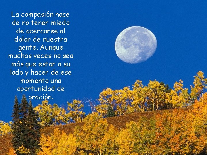 La compasión nace de no tener miedo de acercarse al dolor de nuestra gente.