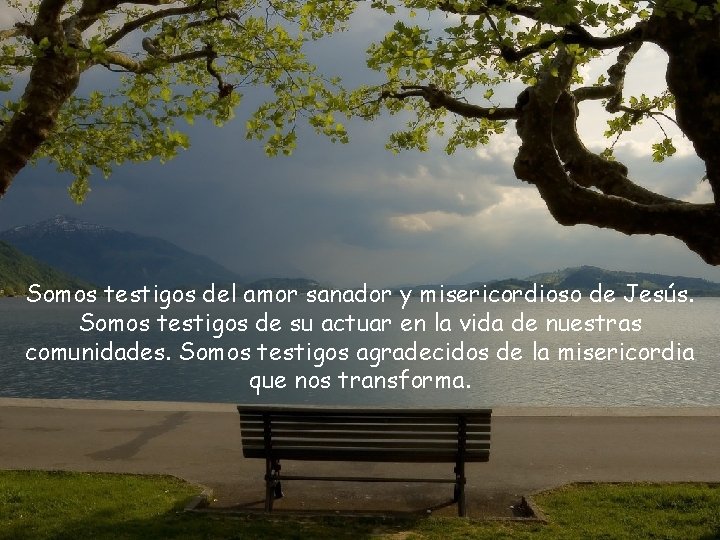 Somos testigos del amor sanador y misericordioso de Jesús. Somos testigos de su actuar