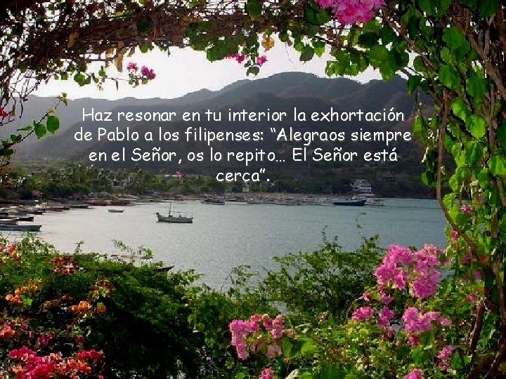 Haz resonar en tu interior la exhortación de Pablo a los filipenses: “Alegraos siempre