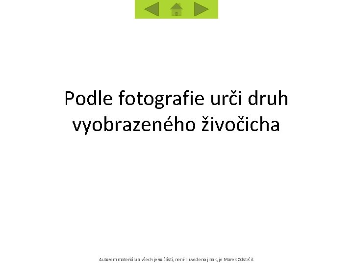 Podle fotografie urči druh vyobrazeného živočicha Autorem materiálu a všech jeho částí, není-li uvedeno