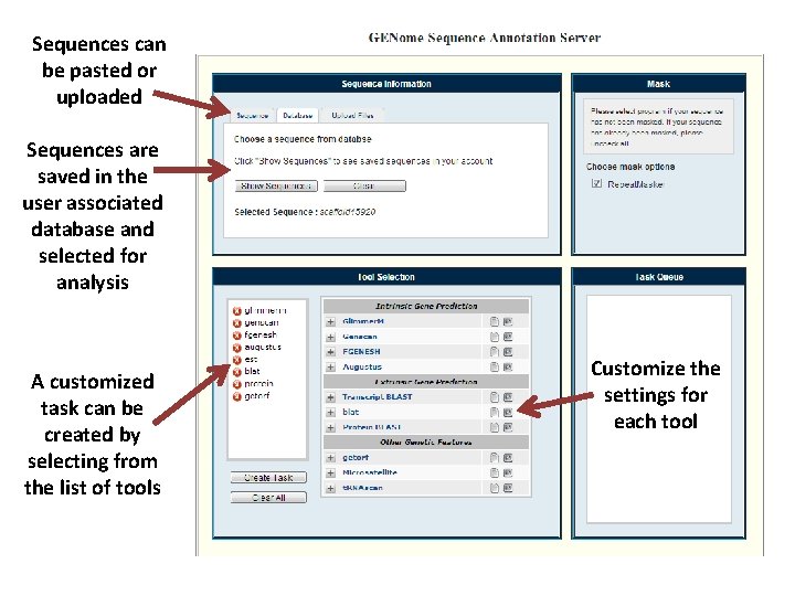 Sequences can be pasted or uploaded Sequences are saved in the user associated database