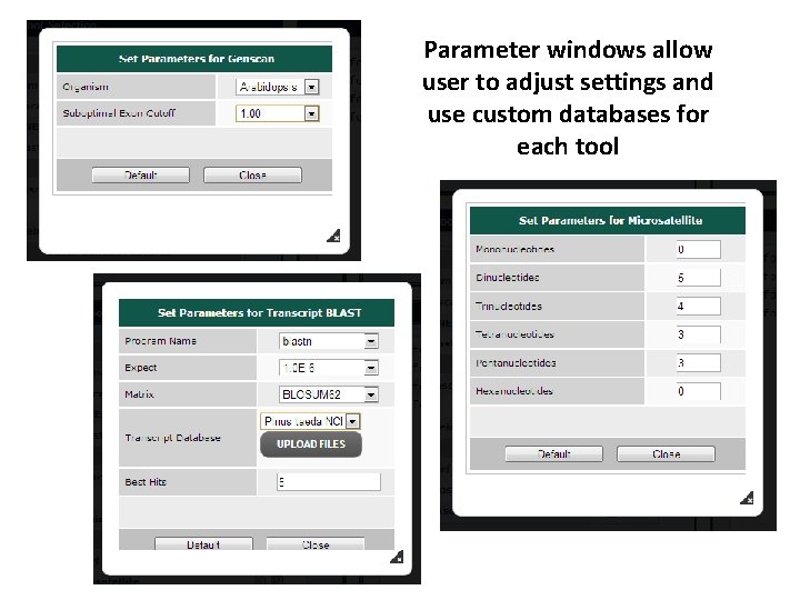Parameter windows allow user to adjust settings and use custom databases for each tool