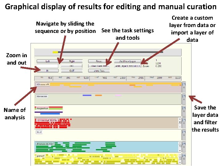 Graphical display of results for editing and manual curation Navigate by sliding the sequence