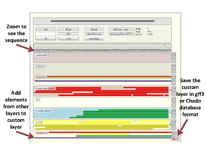 Zoom to see the sequence Add elements from other layers to custom layer Save