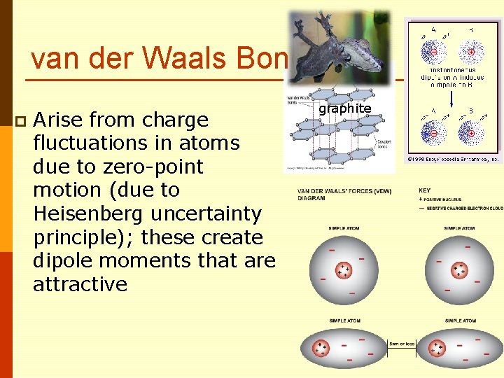 van der Waals Bond p Arise from charge fluctuations in atoms due to zero-point
