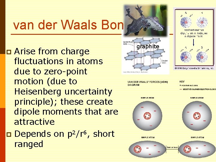 van der Waals Bond Arise from charge fluctuations in atoms due to zero-point motion