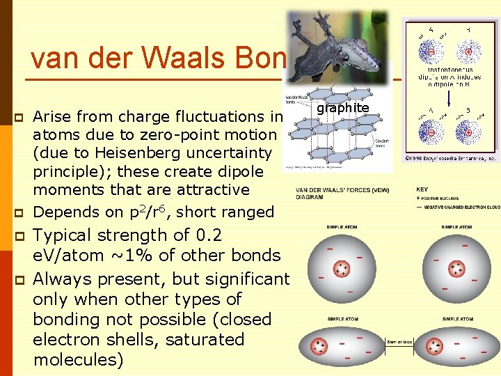 van der Waals Bond p p Arise from charge fluctuations in atoms due to
