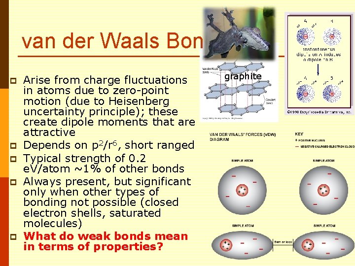 van der Waals Bond p p p Arise from charge fluctuations in atoms due