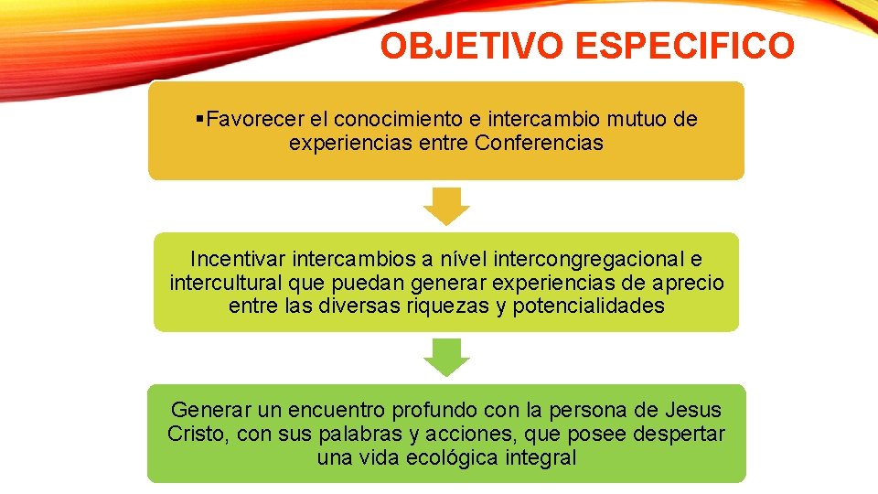 OBJETIVO ESPECIFICO §Favorecer el conocimiento e intercambio mutuo de experiencias entre Conferencias Incentivar intercambios