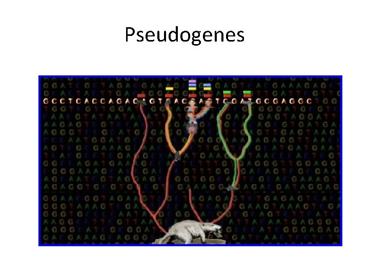 Pseudogenes 