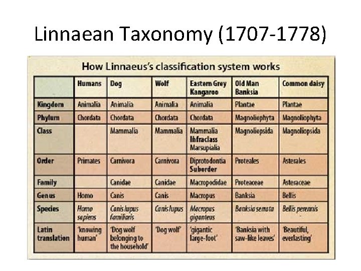 Linnaean Taxonomy (1707 -1778) 