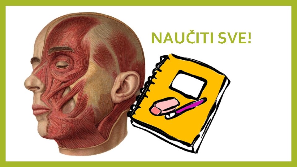 NAUČITI SVE! 