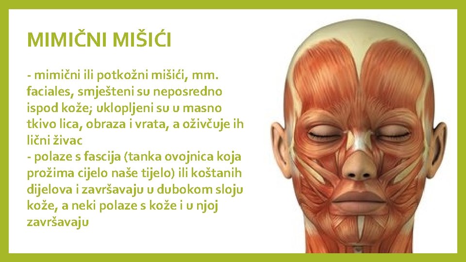 MIMIČNI MIŠIĆI - mimični ili potkožni mišići, mm. faciales, smješteni su neposredno ispod kože;