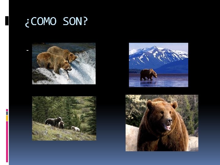 ¿COMO SON? - 