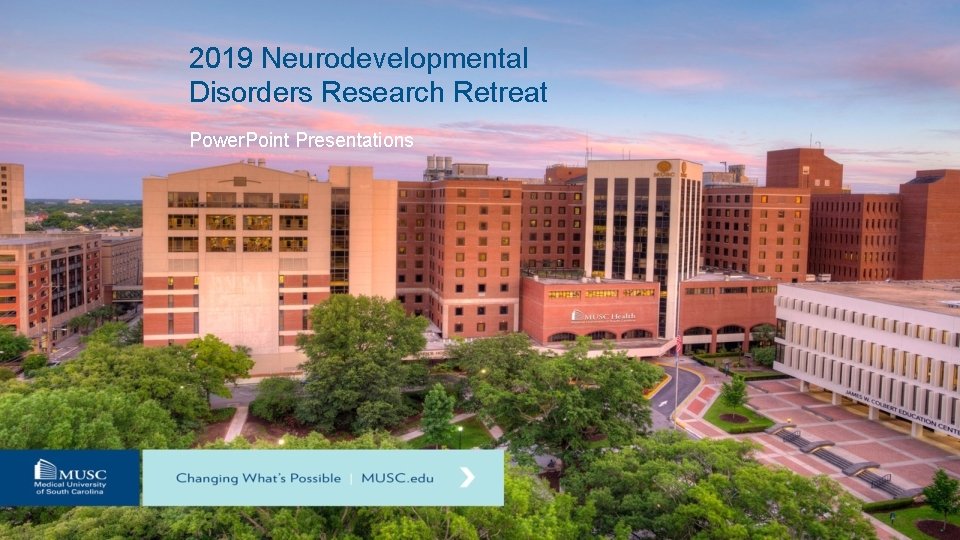 2019 Neurodevelopmental Disorders Research Retreat Power. Point Presentations 