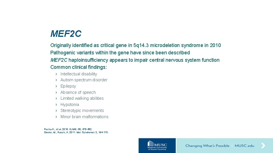 MEF 2 C Originally identified as critical gene in 5 q 14. 3 microdeletion