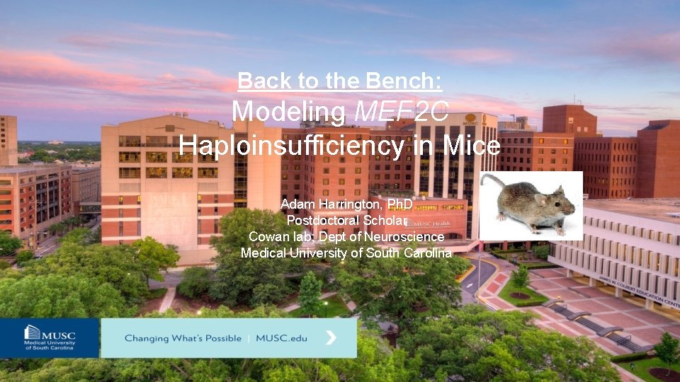 Back to the Bench: Modeling MEF 2 C Haploinsufficiency in Mice Adam Harrington, Ph.