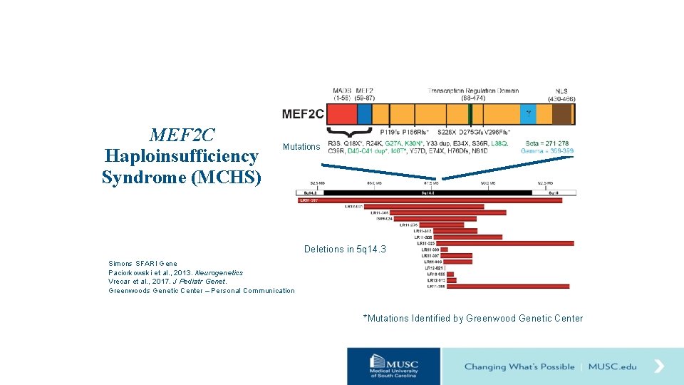 MEF 2 C Haploinsufficiency Syndrome (MCHS) Mutations Deletions in 5 q 14. 3 Simons