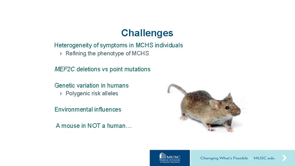Challenges Heterogeneity of symptoms in MCHS individuals › Refining the phenotype of MCHS MEF