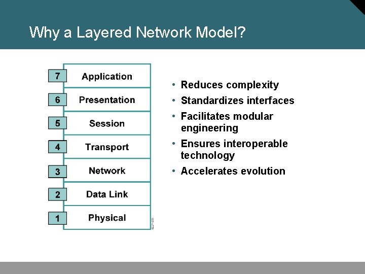 Why a Layered Network Model? • Reduces complexity • Standardizes interfaces • Facilitates modular