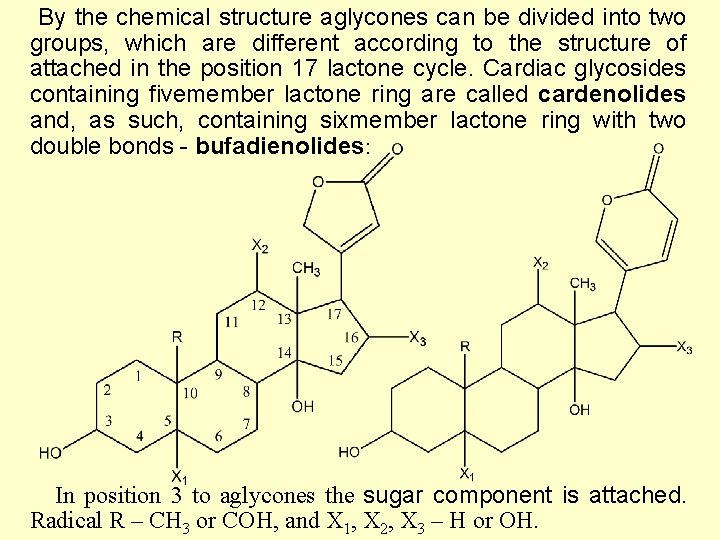 By the chemical structure aglycones can be divided into two groups, which are different By the chemical structure aglycones can be divided into two groups, which are different