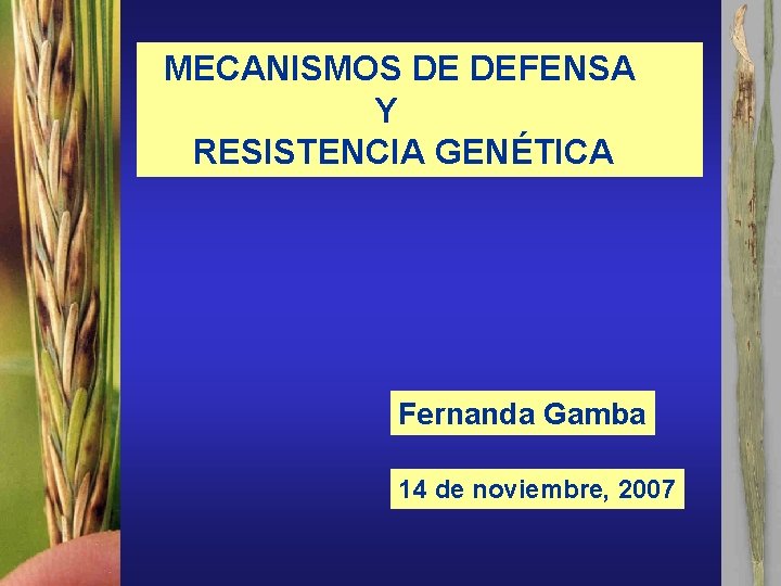 MECANISMOS DE DEFENSA Y RESISTENCIA GENÉTICA Fernanda Gamba 14 de noviembre, 2007 