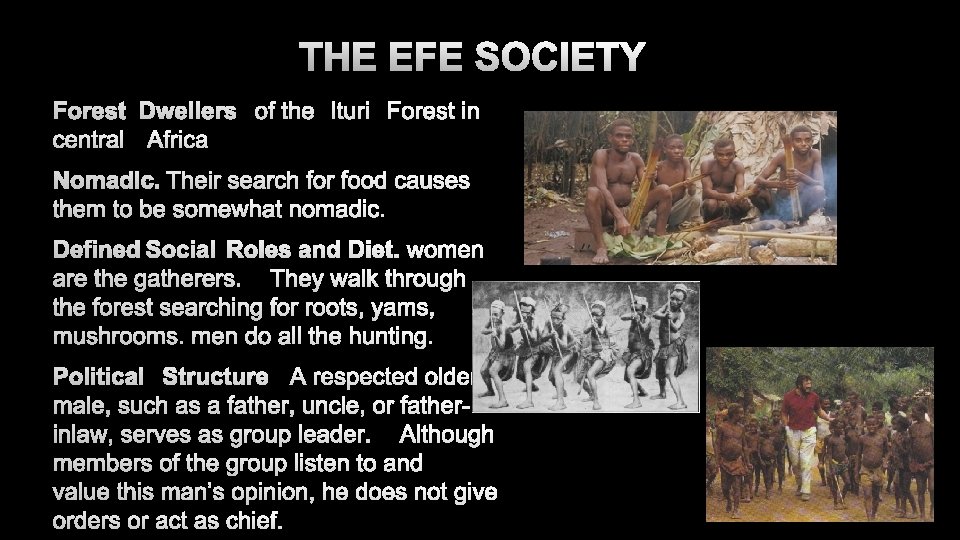 THE EFE SOCIETY 