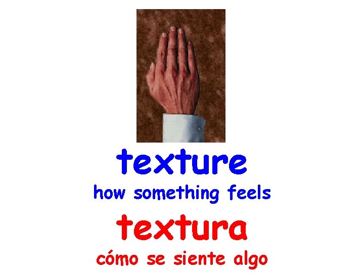 texture how something feels textura cómo se siente algo 