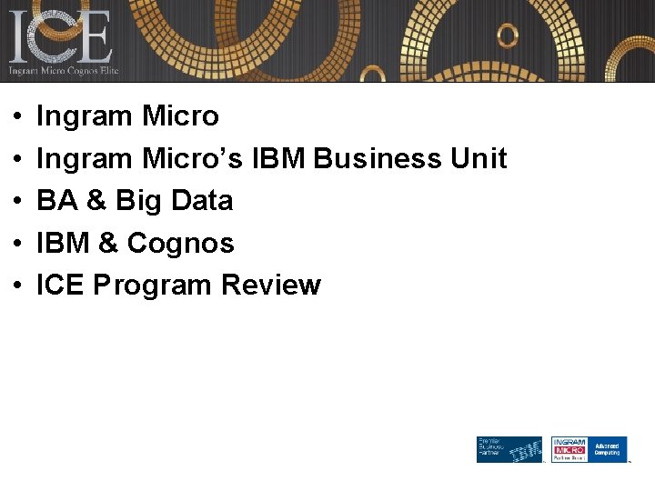  • • • Ingram Micro’s IBM Business Unit BA & Big Data IBM