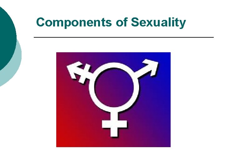 Components of Sexuality 