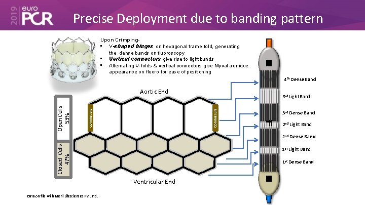 Precise Deployment due to banding pattern Upon Crimping • V-shaped hinges on hexagonal frame