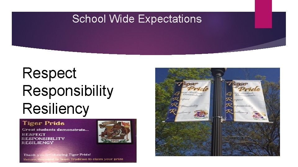School Wide Expectations Respect Responsibility Resiliency 