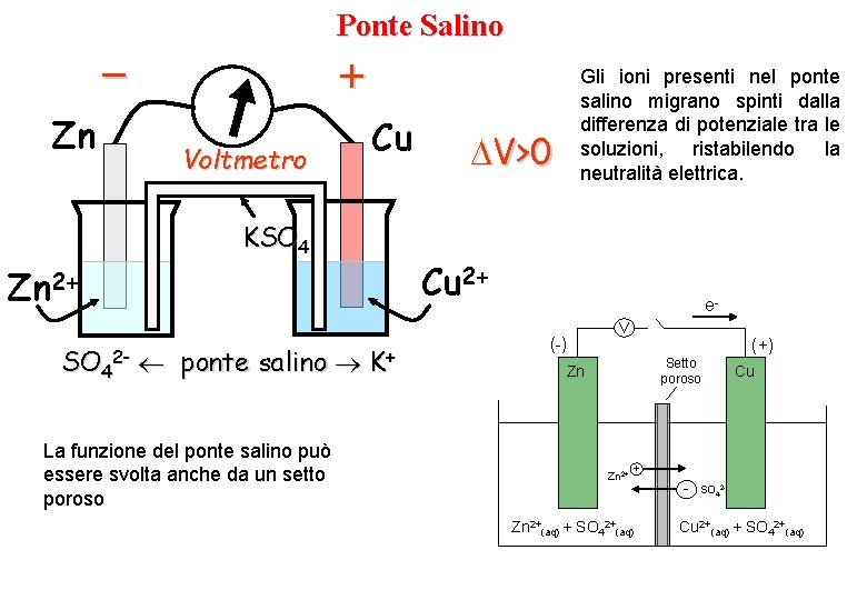 Ponte Salino – Zn + Voltmetro Cu KSO 4 ponte salino La funzione del