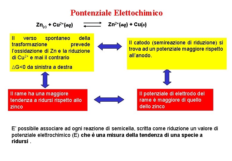 Pontenziale Elettochimico Zn(s) + Cu 2+(aq) Il verso spontaneo della trasformazione prevede l’ossidazione di
