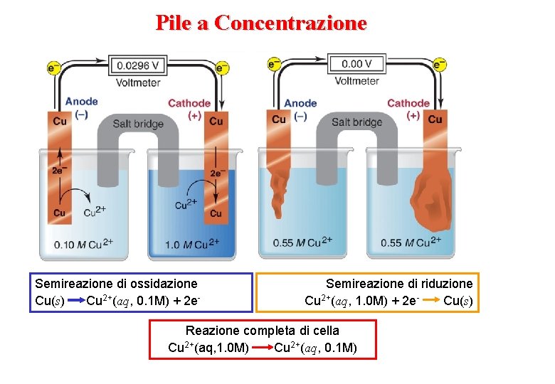 Pile a Concentrazione Semireazione di ossidazione Cu(s) Cu 2+(aq, 0. 1 M) + 2