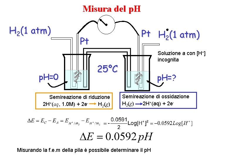 Misura del p. H H 2(1 atm) p. H=0 Pt H 2(1 atm) Pt