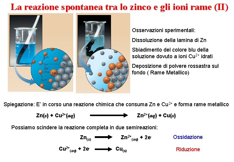 La reazione spontanea tra lo zinco e gli ioni rame (II) Osservazioni sperimentali: Dissoluzione
